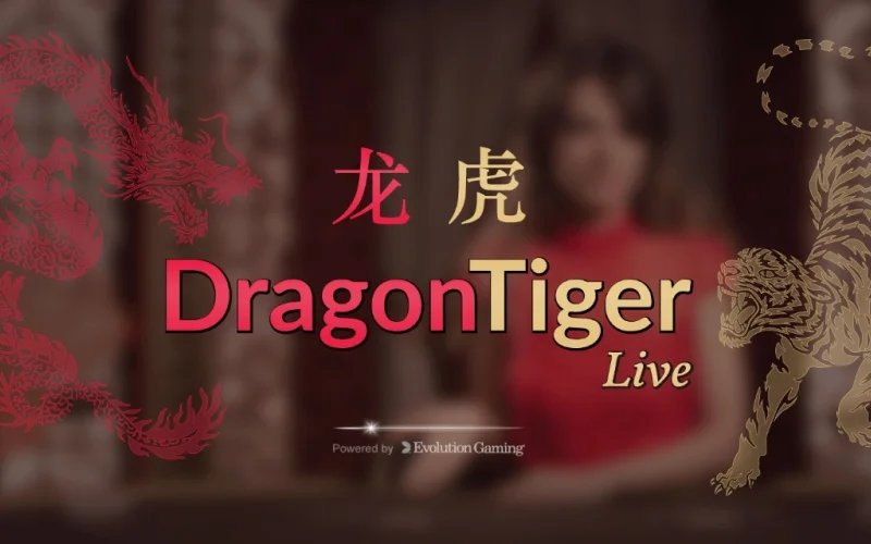 Descubra el juego Dragon Tiger en el casino en vivo LocoWin.